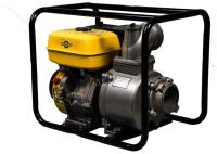 Мотопомпа Mateus MS04001